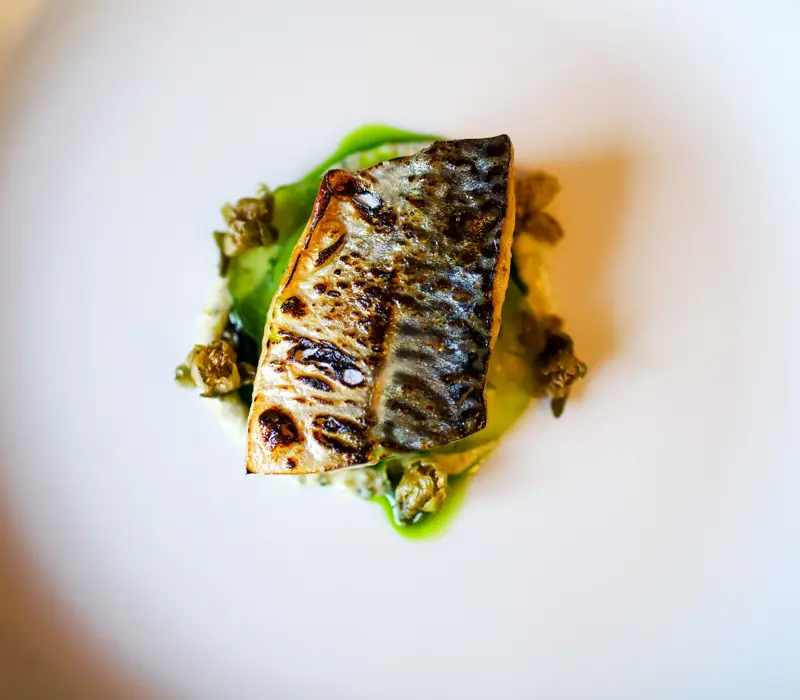 Grilled mackerel fillet atop a bed of mashed avocado, garnished with capers and drizzled with green sauce on a white plate.